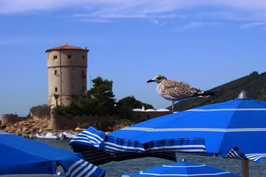 Cosa vedere a Giglio Campese, uno dei tre pittoreschi borghi del Giglio